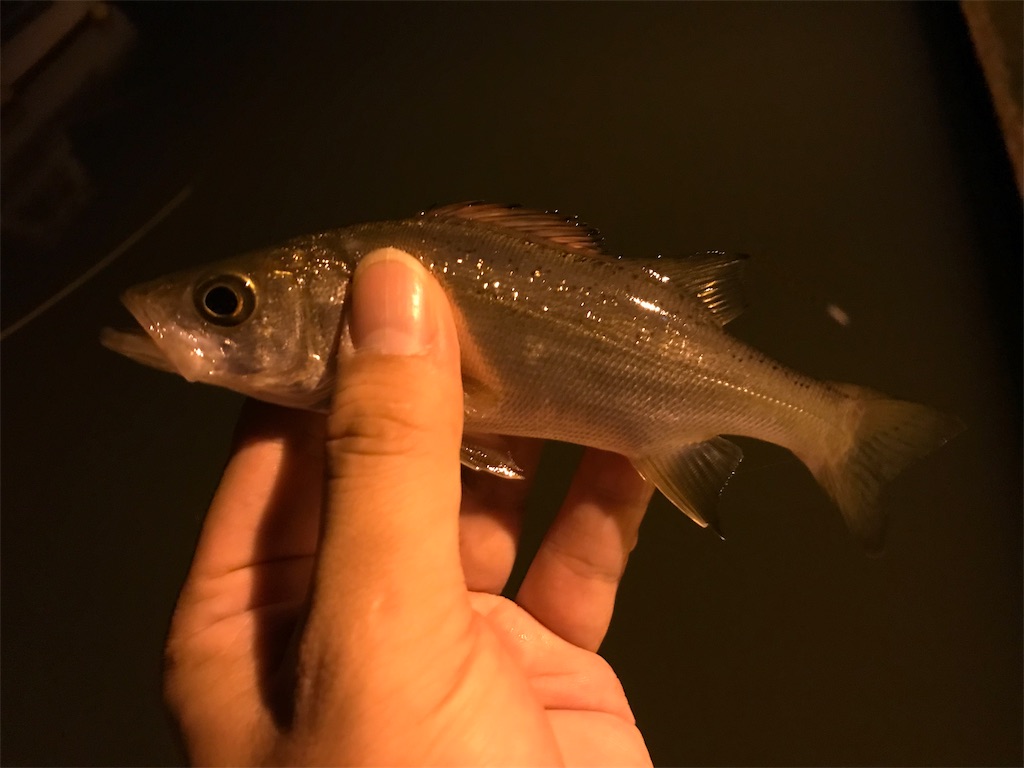 f:id:esojima3:20190816083850j:image