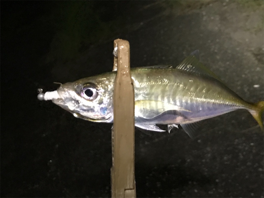 f:id:esojima3:20190817164405j:image
