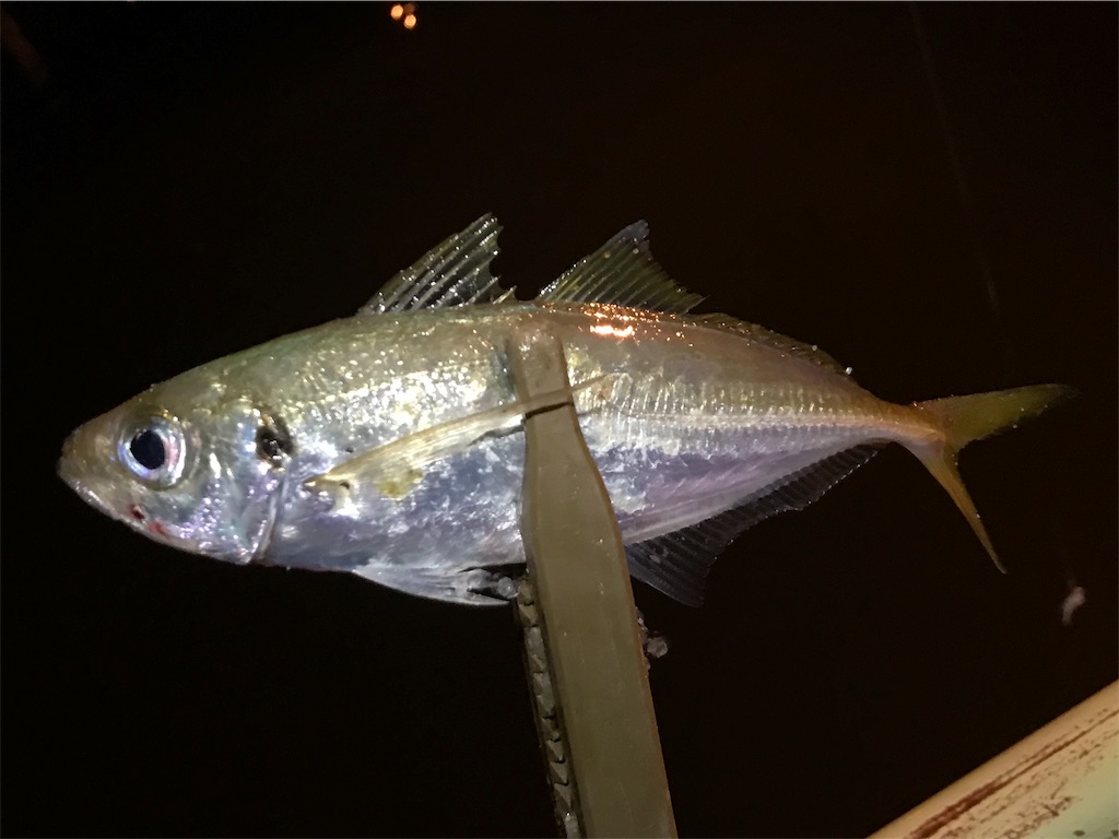 f:id:esojima3:20190817164620j:image