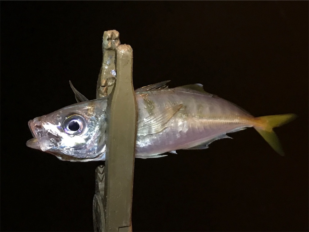 f:id:esojima3:20190817164623j:image