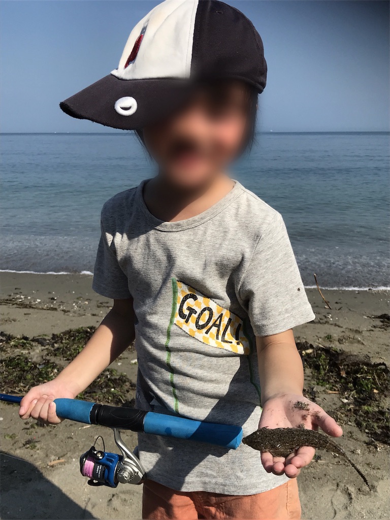 f:id:esojima3:20190817192911j:image