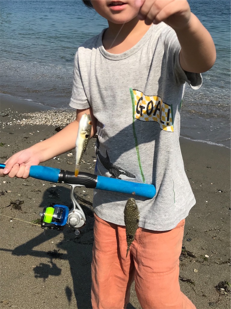 f:id:esojima3:20190817193121j:image