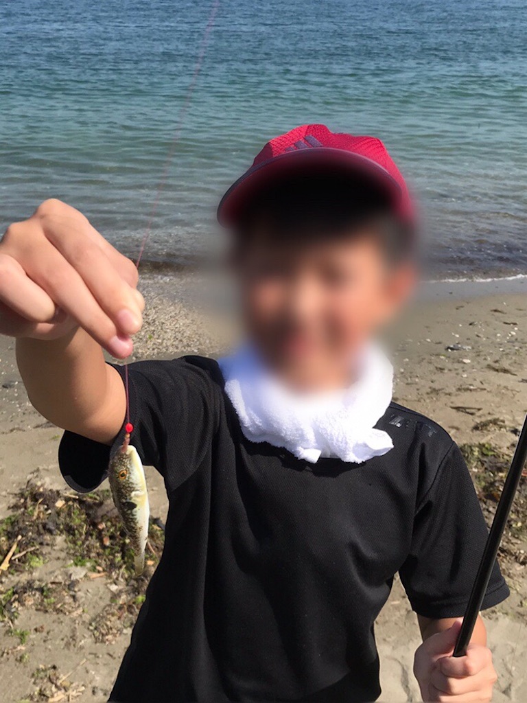f:id:esojima3:20190817193150j:image