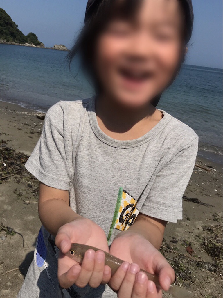 f:id:esojima3:20190817193509j:image