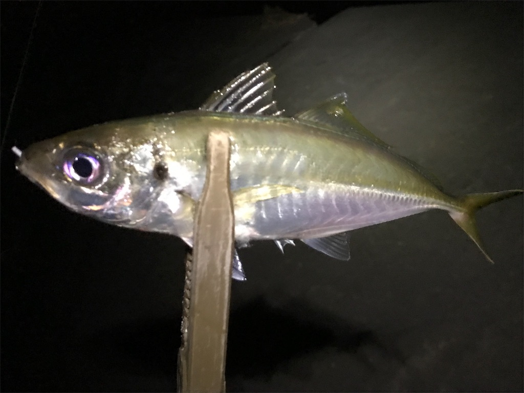 f:id:esojima3:20190818175402j:image f:id:esojima3:20190818175402j:image