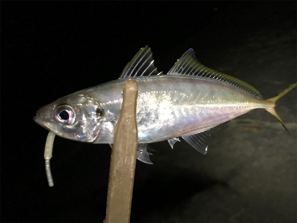 f:id:esojima3:20190818184527j:image f:id:esojima3:20190818184527j:image