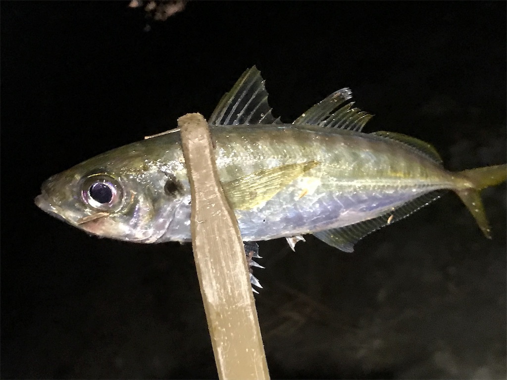 f:id:esojima3:20190818184532j:image f:id:esojima3:20190818184532j:image