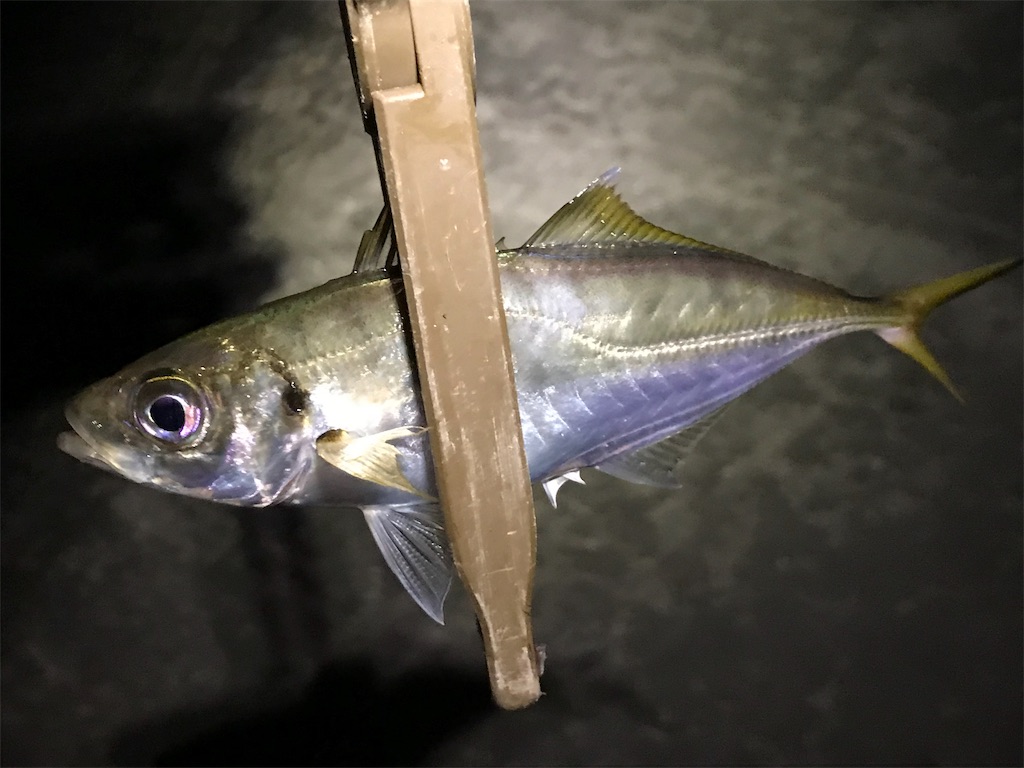 f:id:esojima3:20190818184538j:image f:id:esojima3:20190818184538j:image