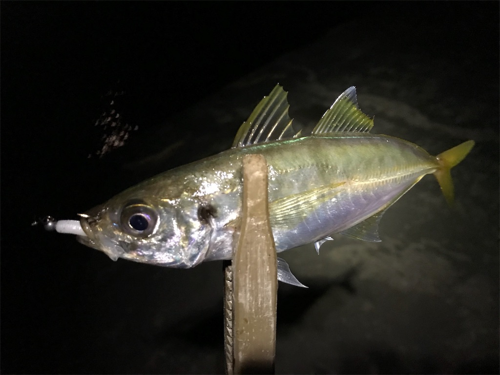 f:id:esojima3:20190818184543j:image f:id:esojima3:20190818184543j:image