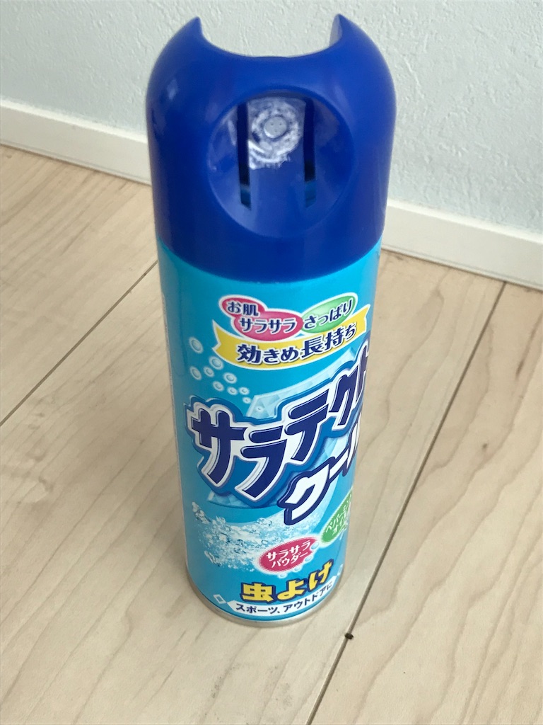 f:id:esojima3:20190820171611j:image