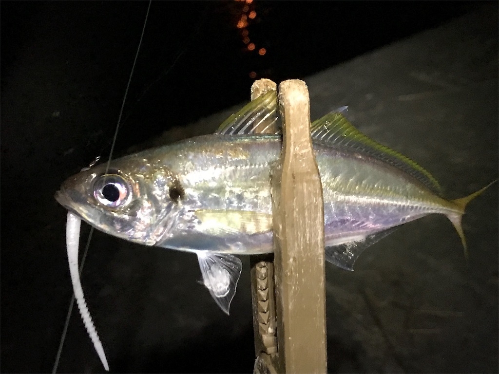 f:id:esojima3:20190821224744j:image