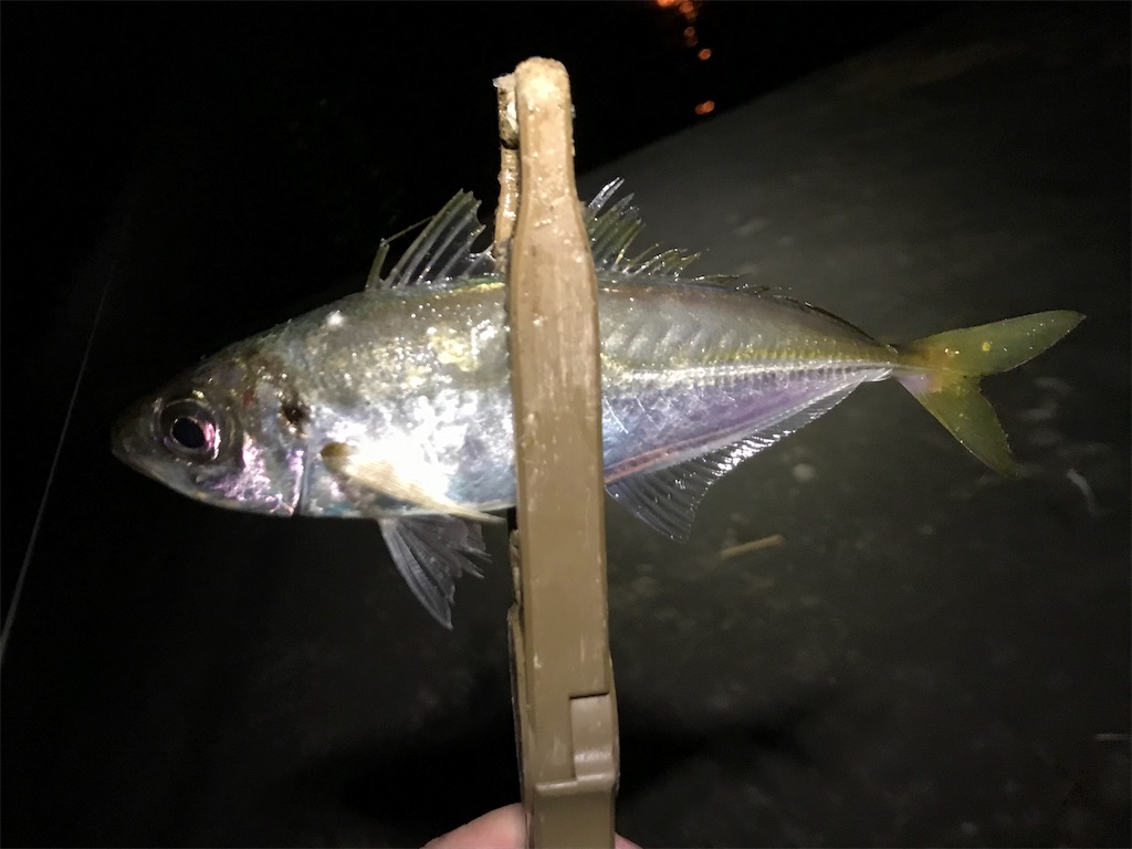 f:id:esojima3:20190821224804j:image