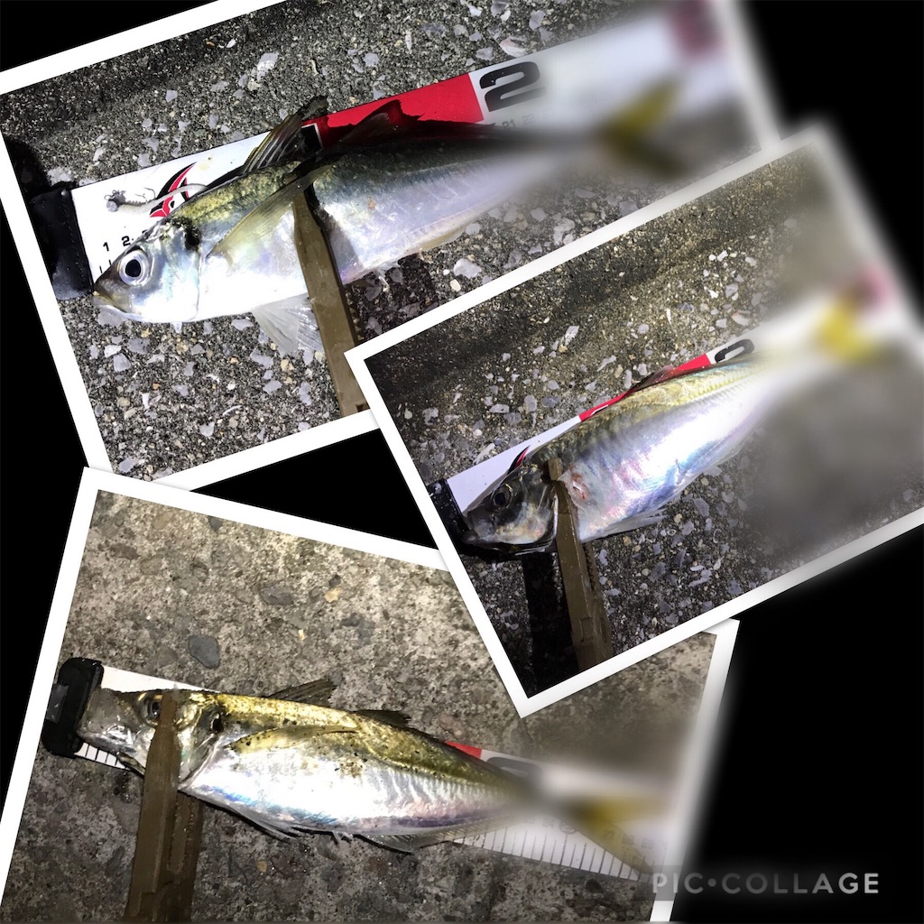 f:id:esojima3:20190823230012j:image