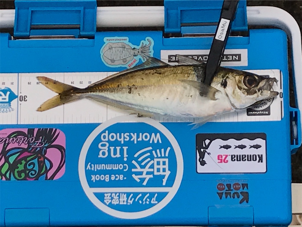 f:id:esojima3:20190823233928j:image