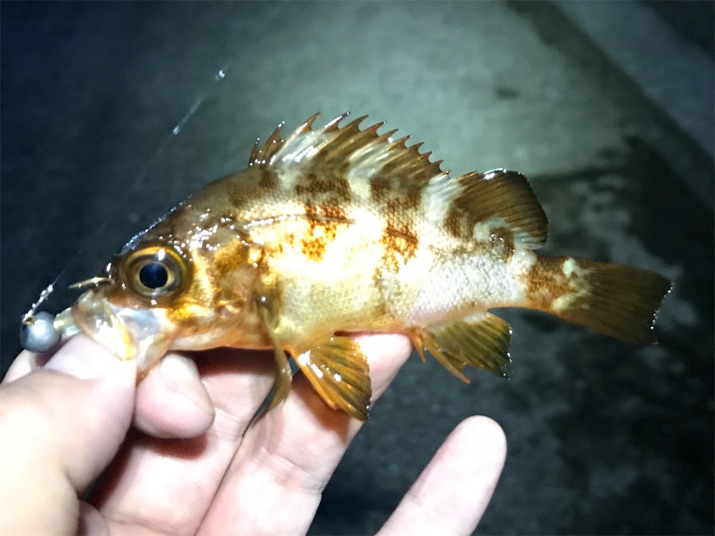 f:id:esojima3:20190823234430j:image