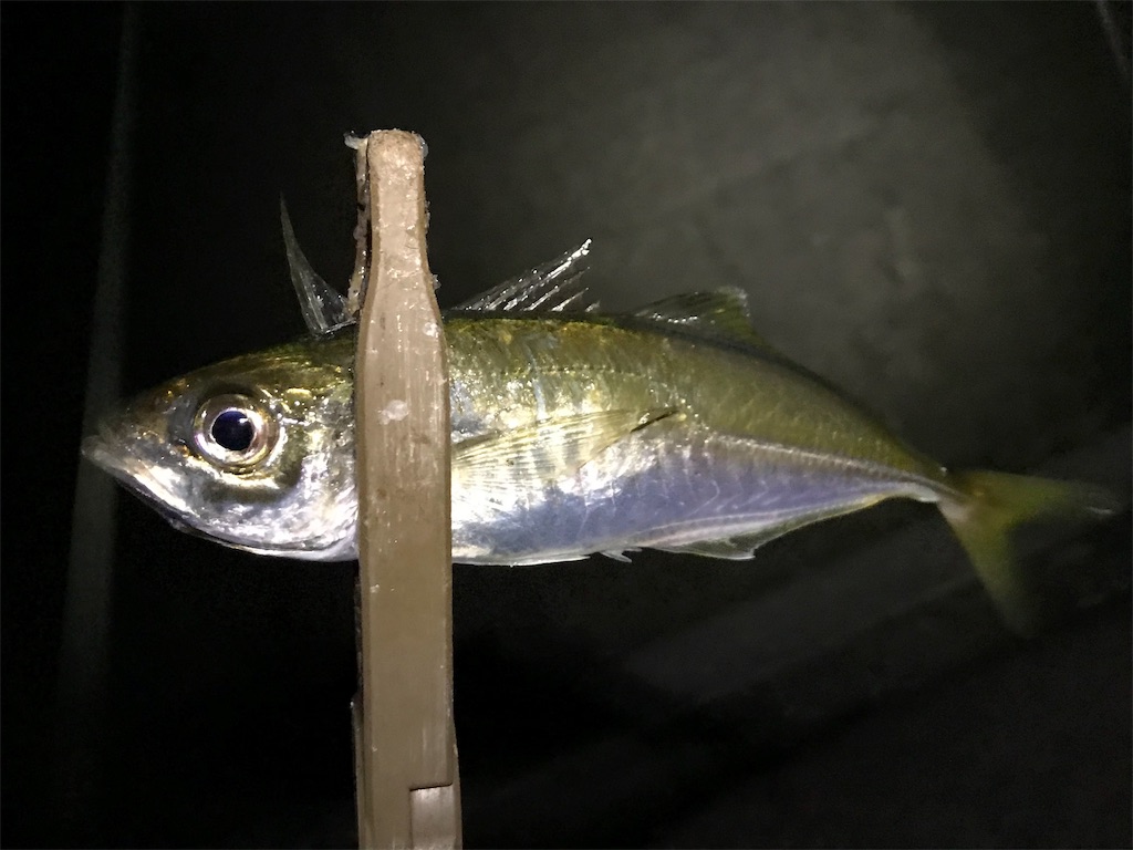 f:id:esojima3:20190823234814j:image