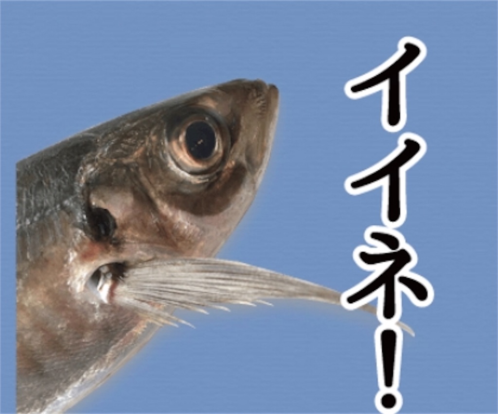 f:id:esojima3:20190824123236j:image
