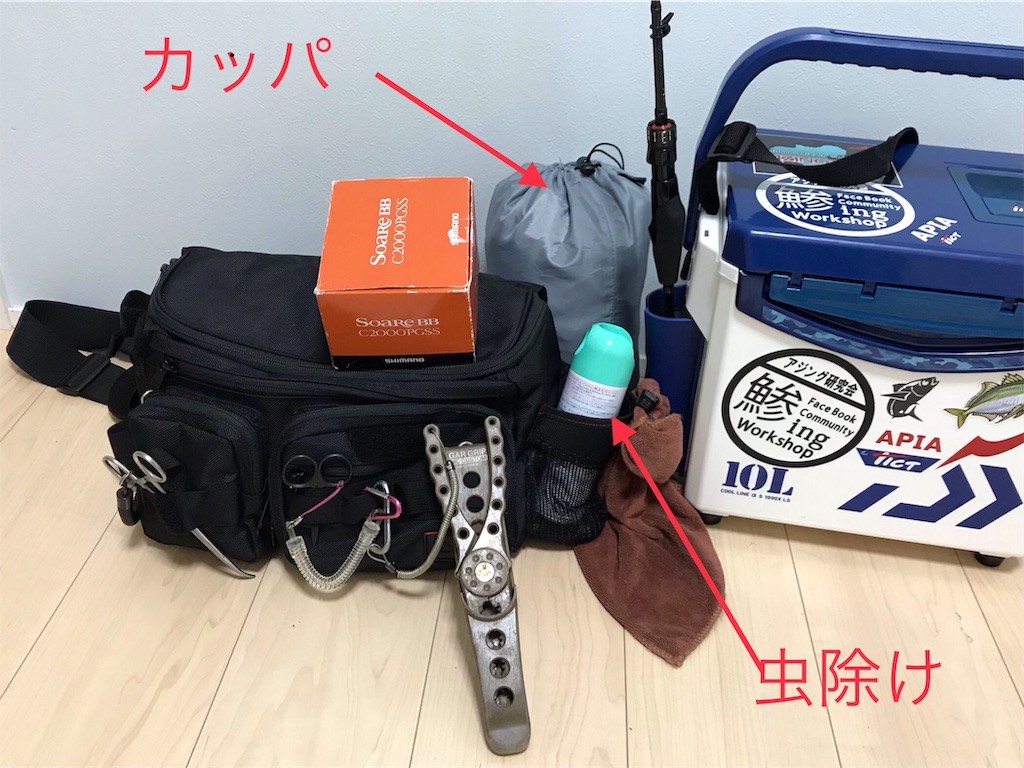 f:id:esojima3:20190827223734j:image