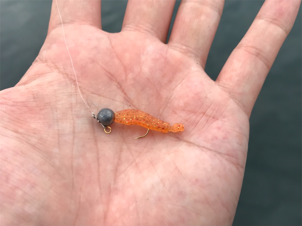 f:id:esojima3:20190828215925j:image f:id:esojima3:20190828215925j:image