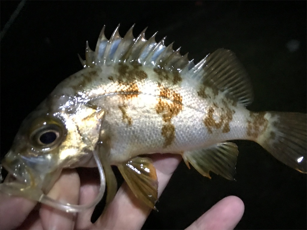 f:id:esojima3:20190828221011j:image f:id:esojima3:20190828221011j:image