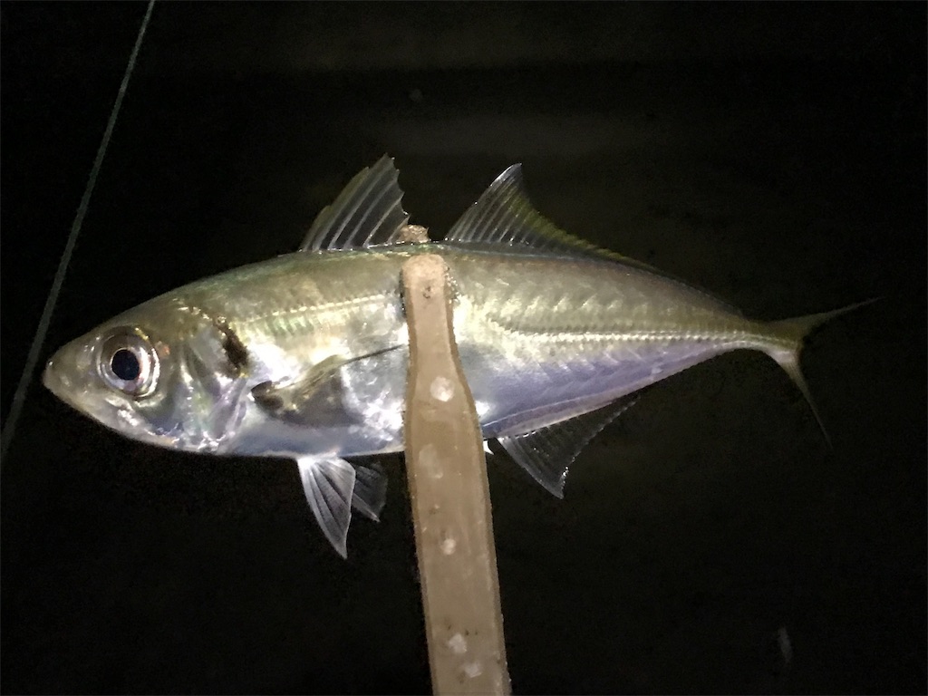 f:id:esojima3:20190828221317j:image f:id:esojima3:20190828221317j:image