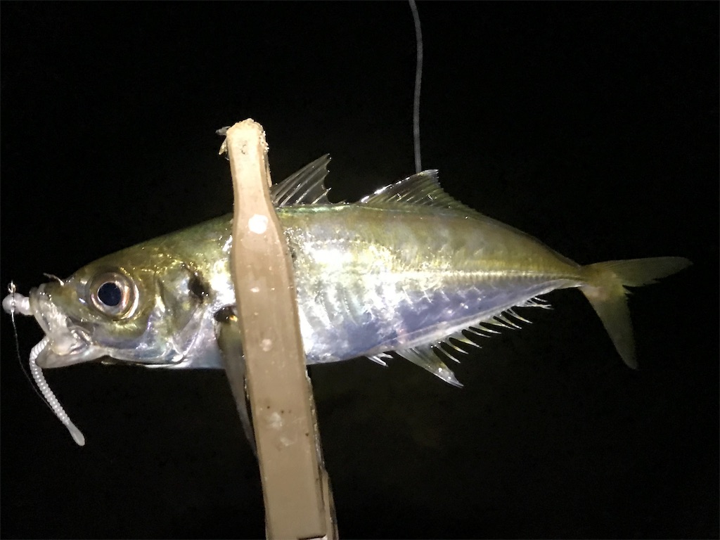 f:id:esojima3:20190828221334j:image f:id:esojima3:20190828221334j:image