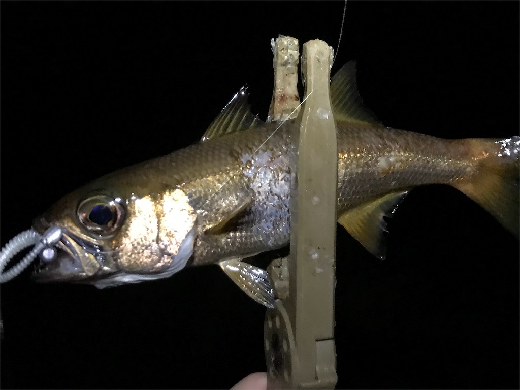 f:id:esojima3:20190828221437j:image f:id:esojima3:20190828221437j:image
