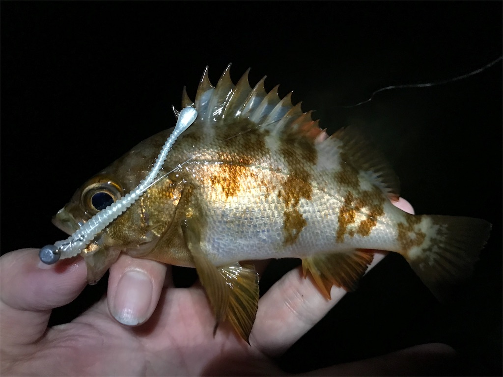 f:id:esojima3:20190828221536j:image f:id:esojima3:20190828221536j:image