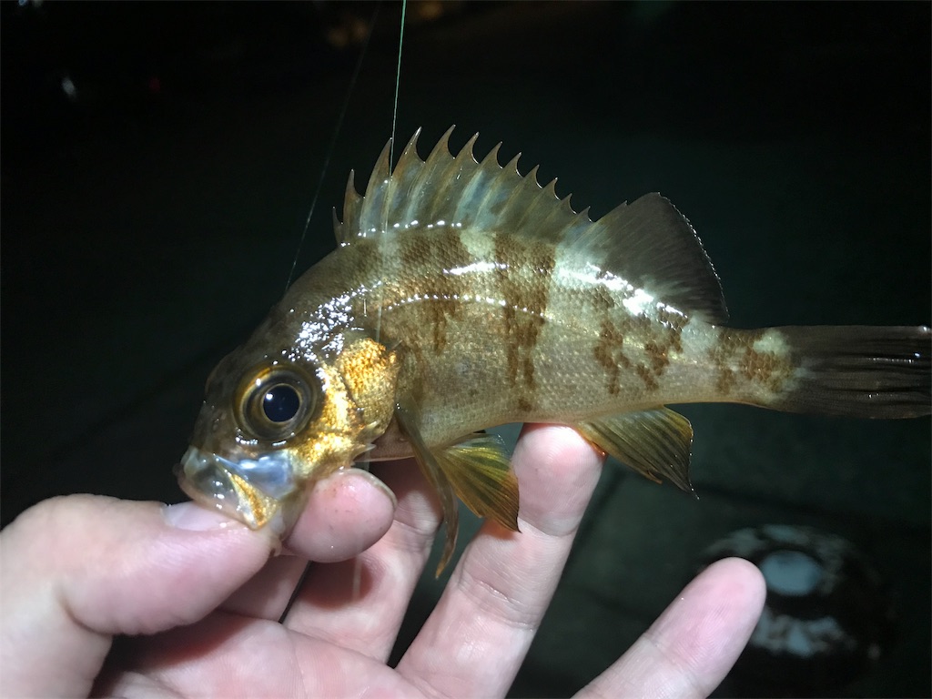 f:id:esojima3:20190829232221j:image