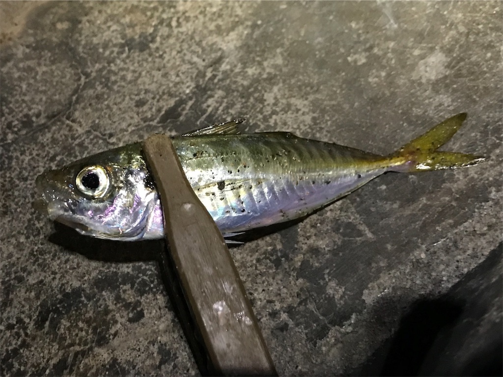 f:id:esojima3:20190830235402j:image