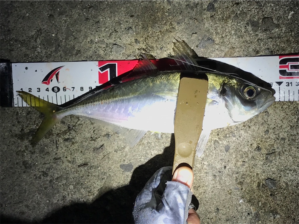 f:id:esojima3:20190830235429j:image