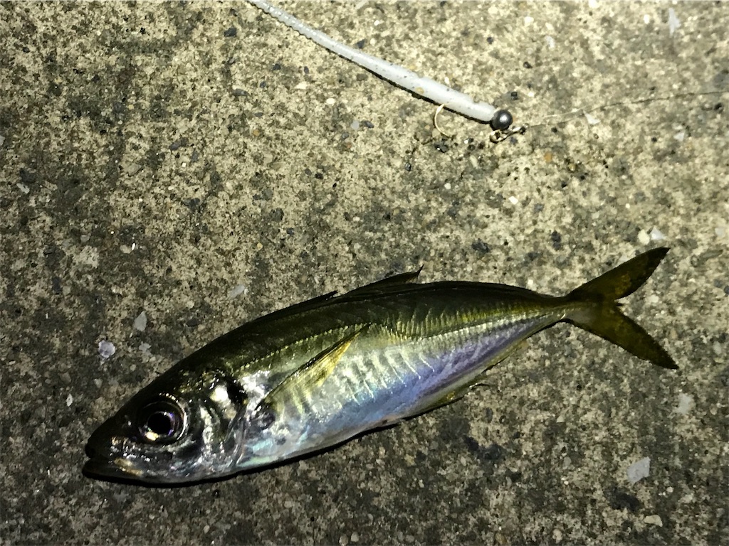 f:id:esojima3:20190830235834j:image