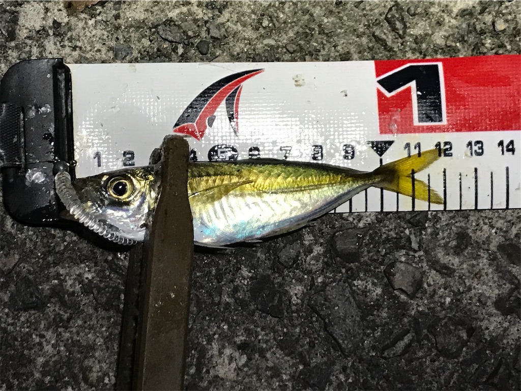 f:id:esojima3:20190830235840j:image