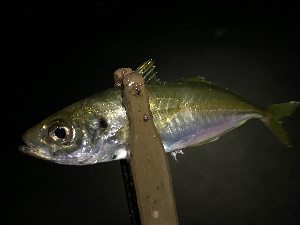 f:id:esojima3:20190830235847j:image