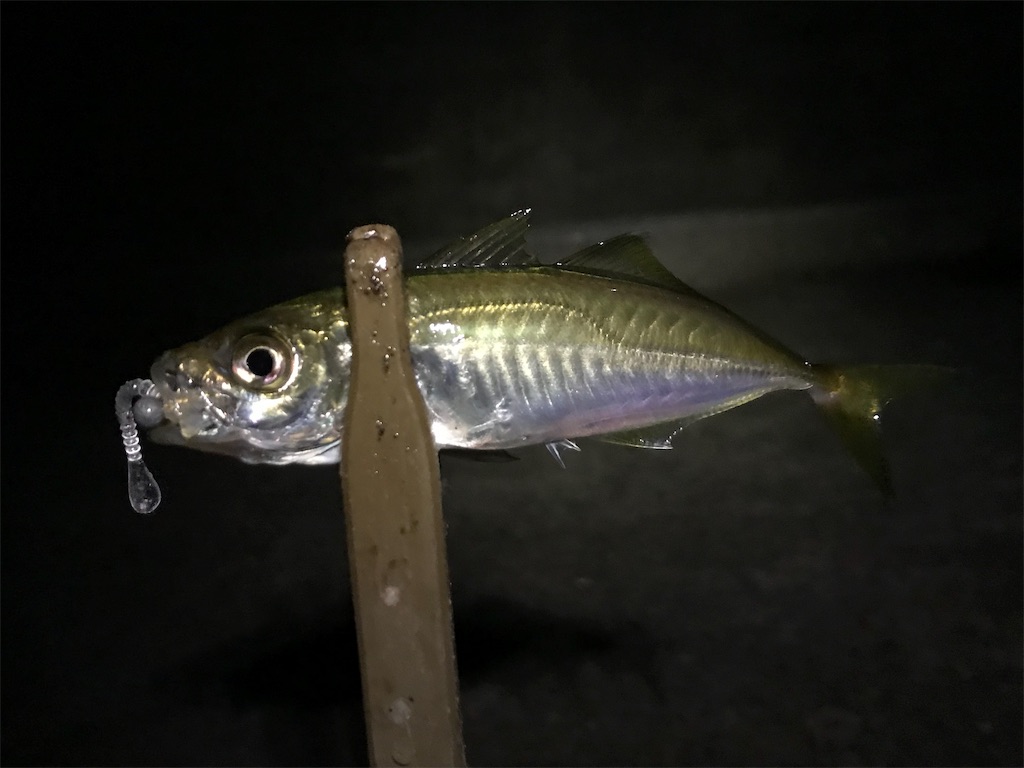 f:id:esojima3:20190830235850j:image