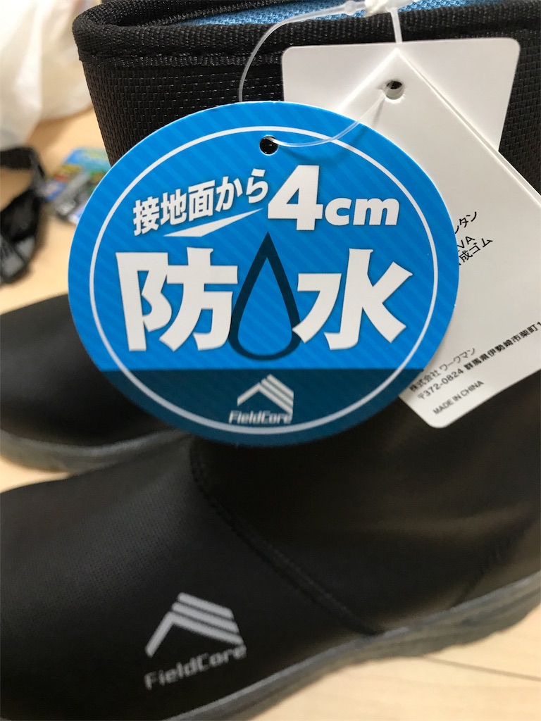 f:id:esojima3:20190831172056j:image