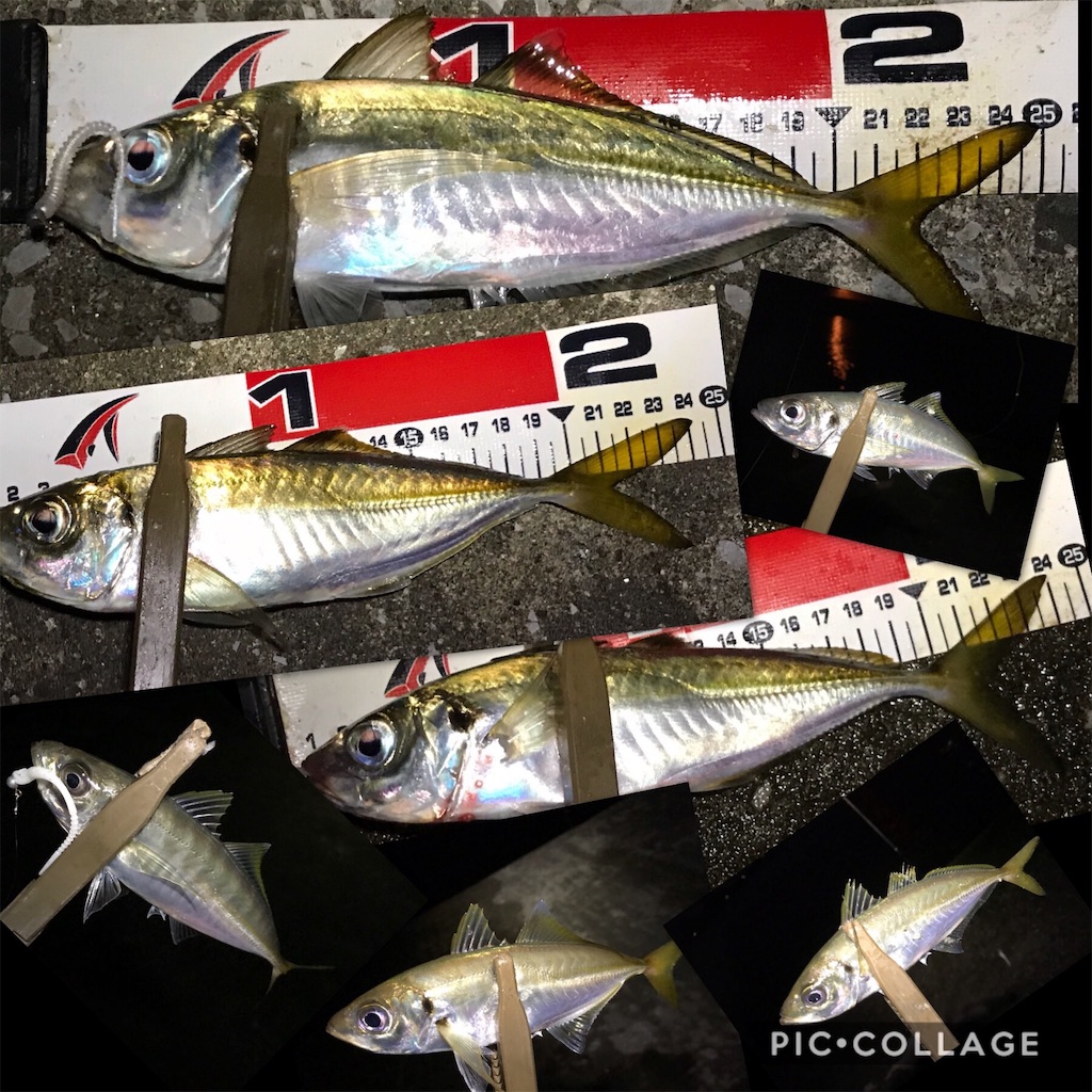 f:id:esojima3:20190901171652j:image