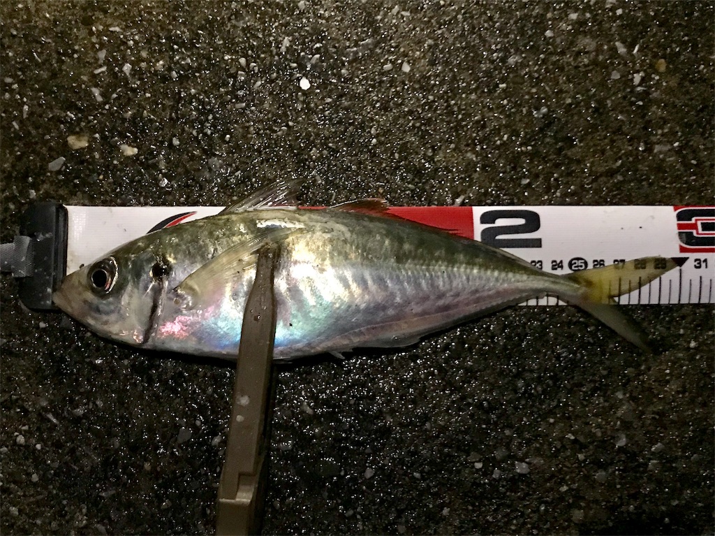 f:id:esojima3:20190901171729j:image