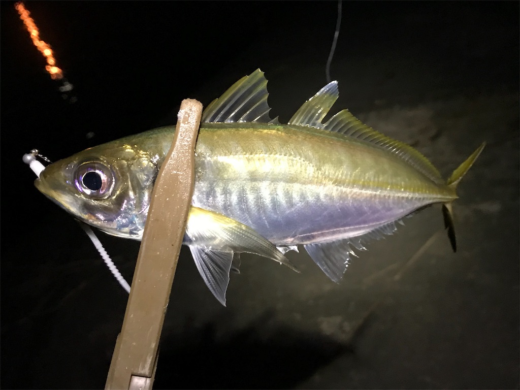 f:id:esojima3:20190902233442j:image