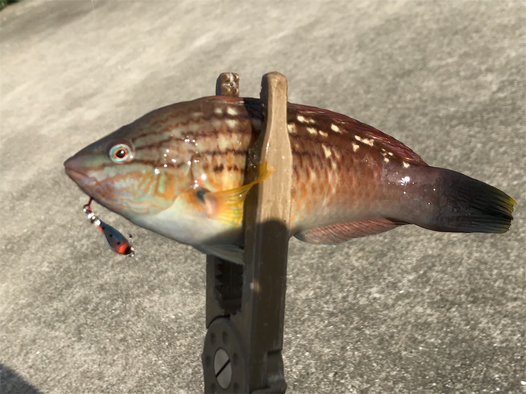 f:id:esojima3:20190903222034j:image f:id:esojima3:20190903222034j:image