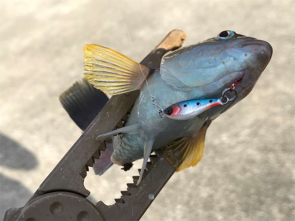 f:id:esojima3:20190903222040j:image f:id:esojima3:20190903222040j:image