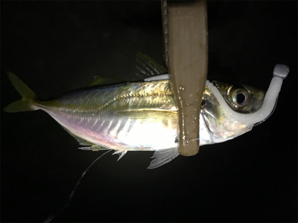 f:id:esojima3:20190903223657j:image f:id:esojima3:20190903223657j:image