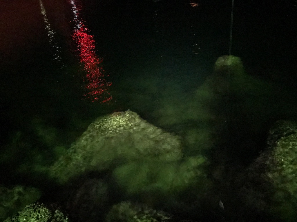 f:id:esojima3:20190904224144j:image