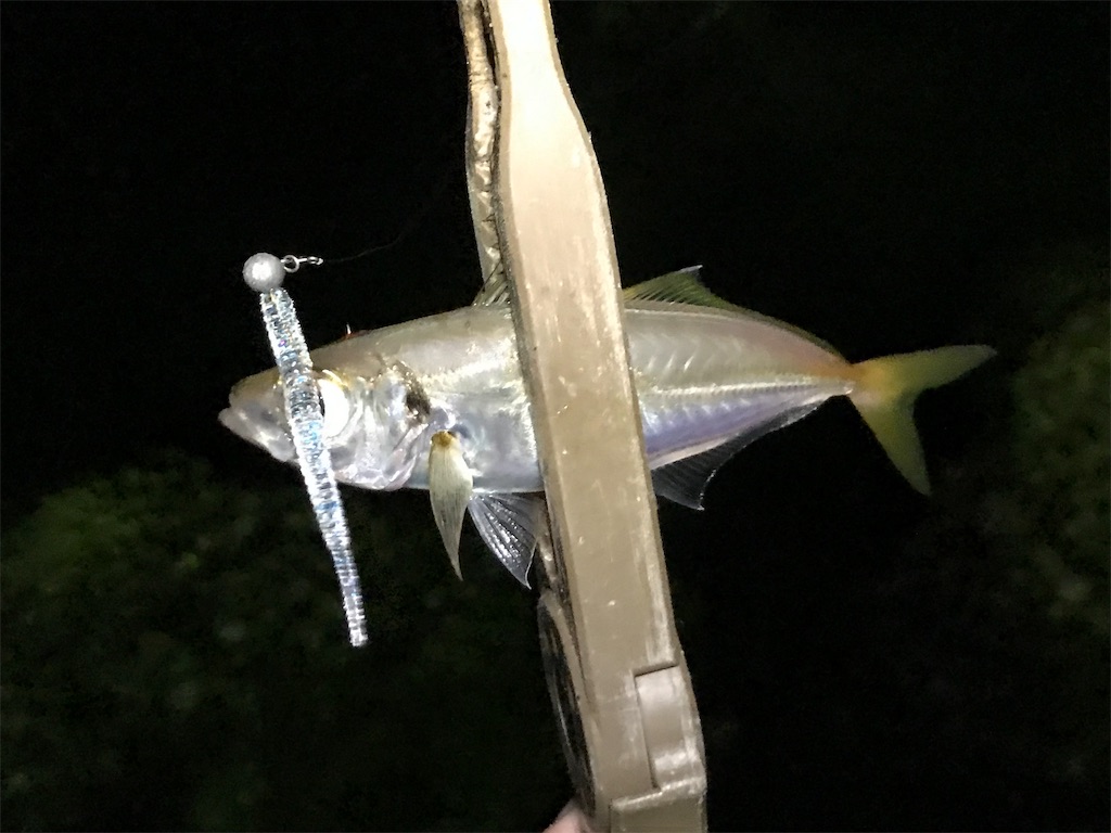 f:id:esojima3:20190904224415j:image
