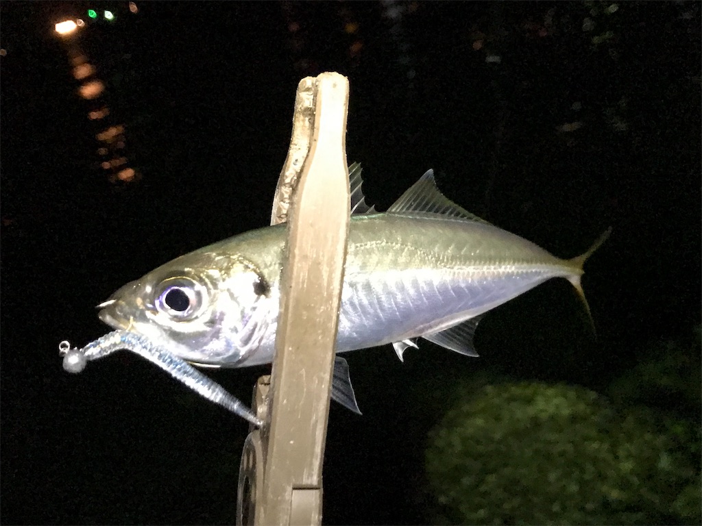 f:id:esojima3:20190904224540j:image