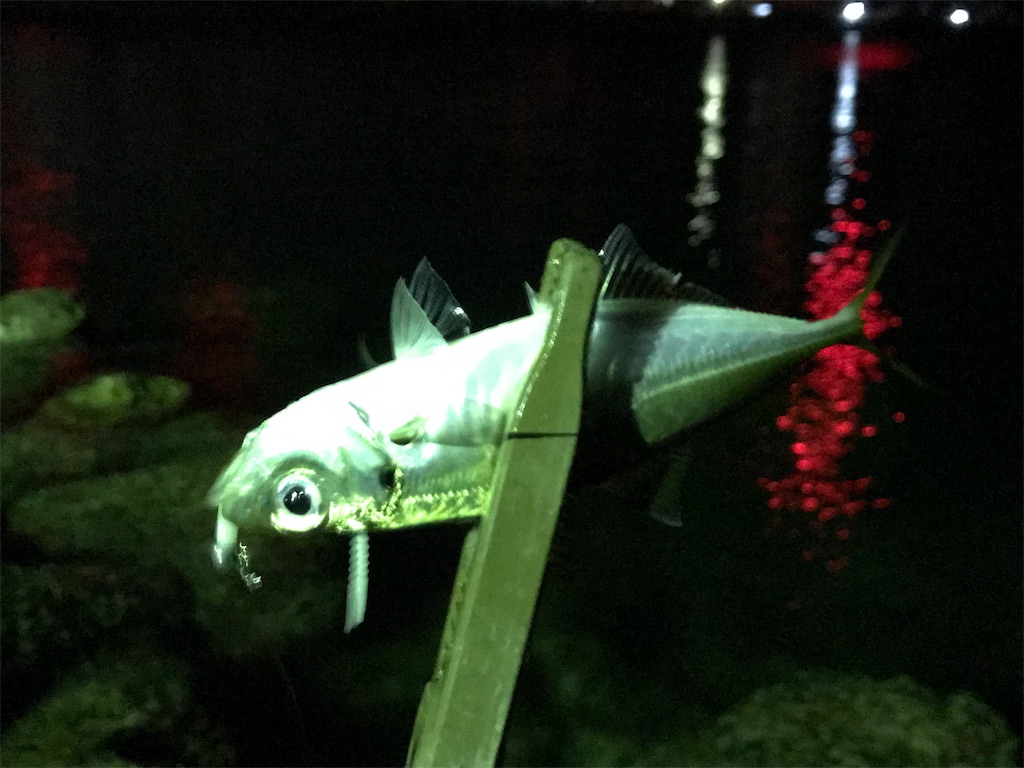 f:id:esojima3:20190904224543j:image