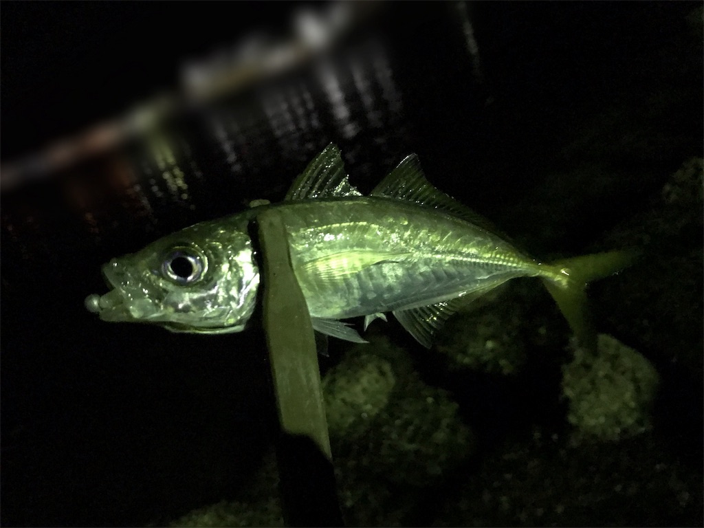 f:id:esojima3:20190904224551j:image