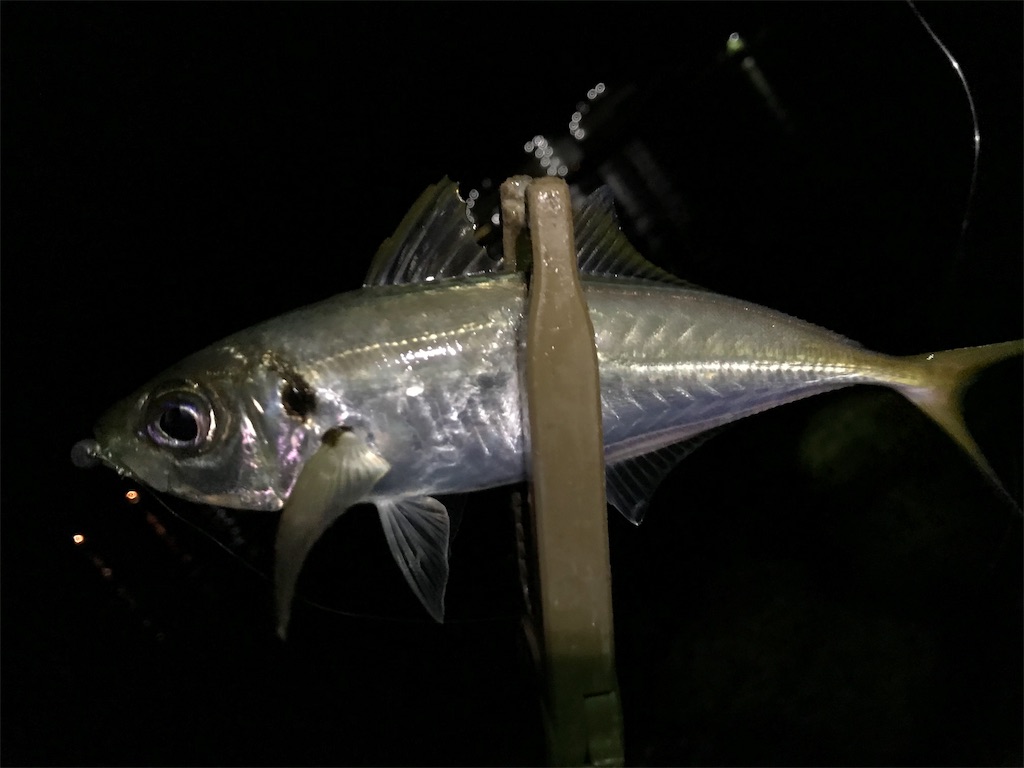 f:id:esojima3:20190904224555j:image
