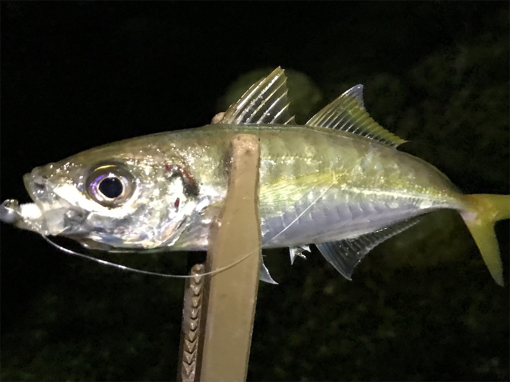 f:id:esojima3:20190904224559j:image
