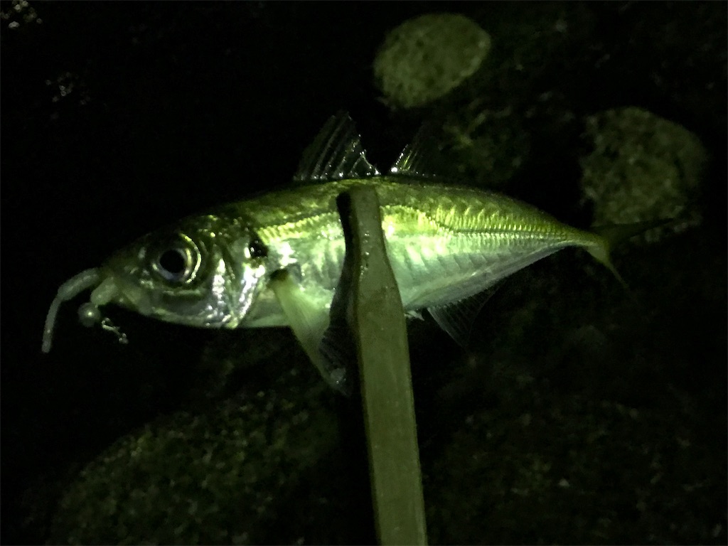 f:id:esojima3:20190904224602j:image